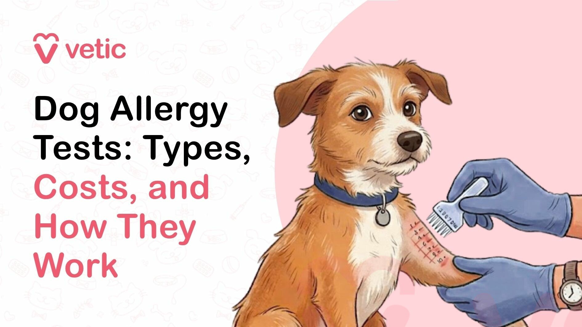 Main types of dog allergy tests