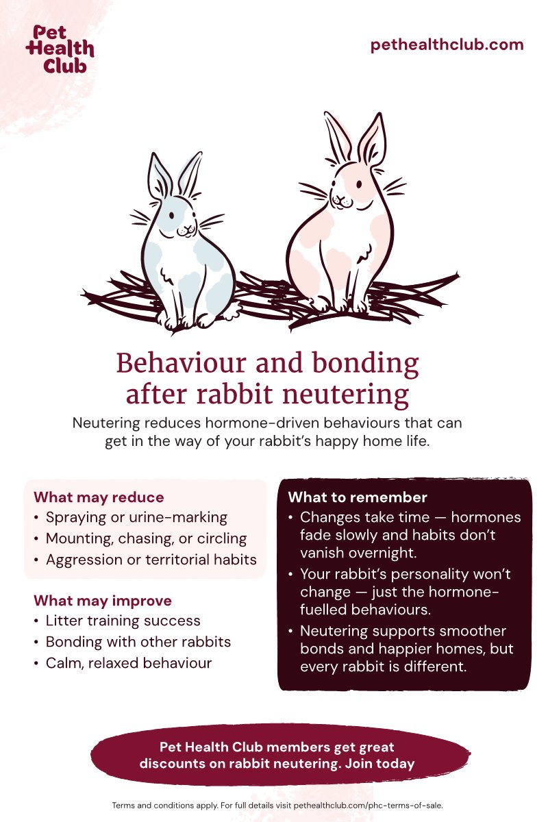 Behaviour changes after neutering