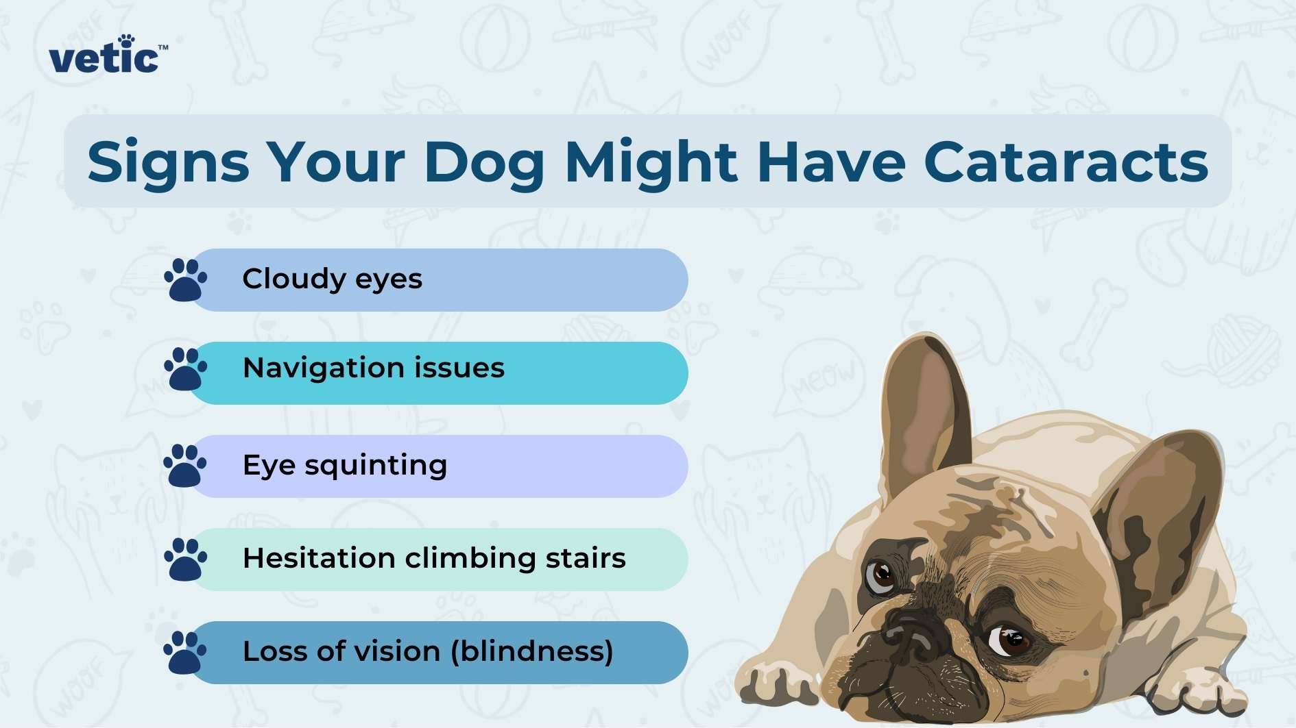 How to Know If Dogs Are Causing Symptoms