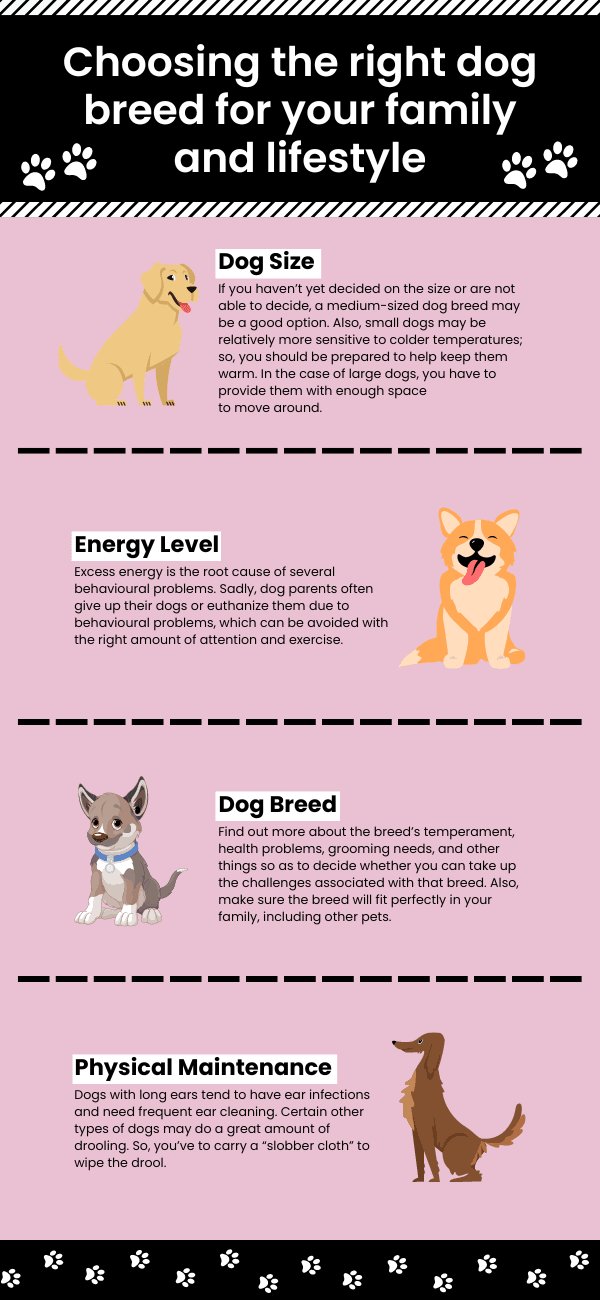 How to Pick the Right Breed for You