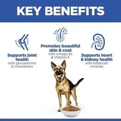 Health Effects of Ongoing Dog Allergies