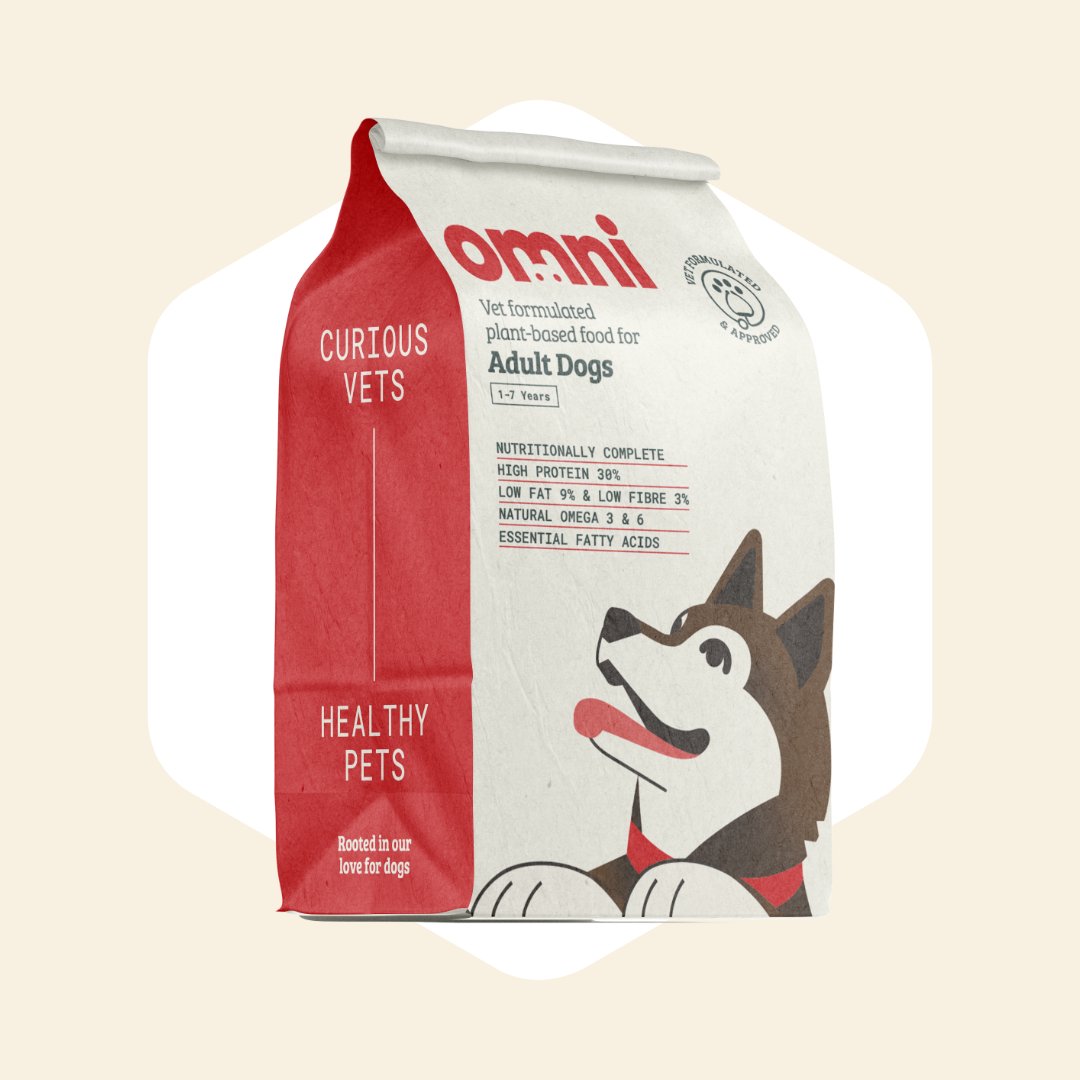 7 Simple Fixes to Reduce Dog Allergies