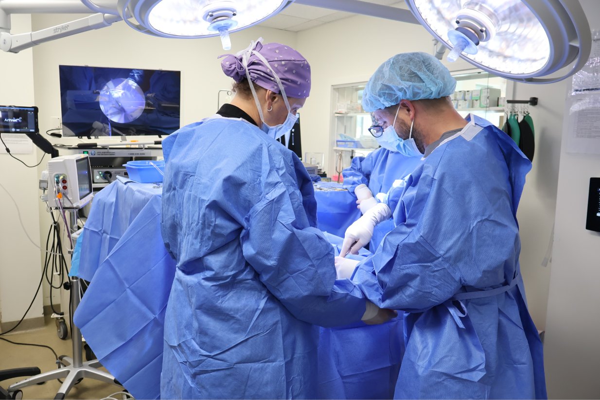 Caring for Your Dog Right After Surgery