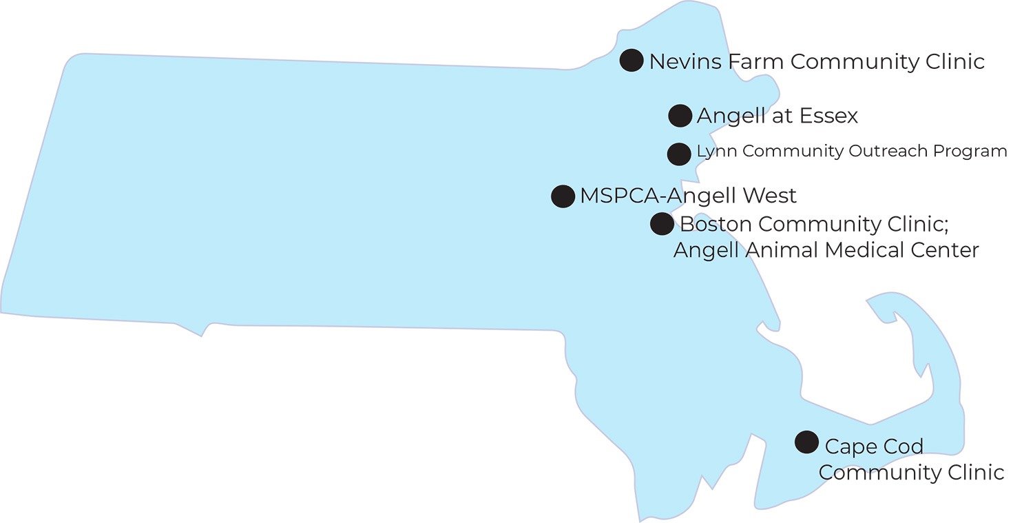 Low‑Cost and Free Spay Options