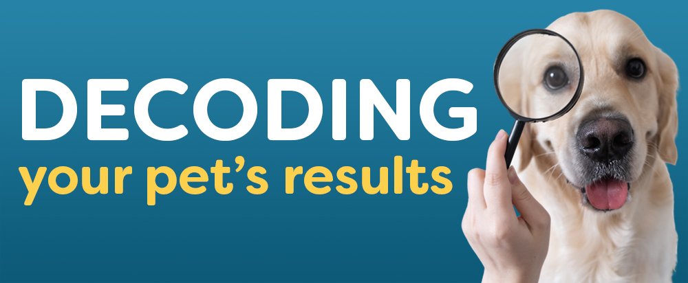Understanding your dog’s test results