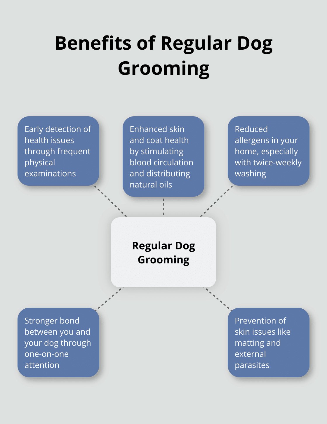 Home and Grooming Tips to Reduce Allergens
