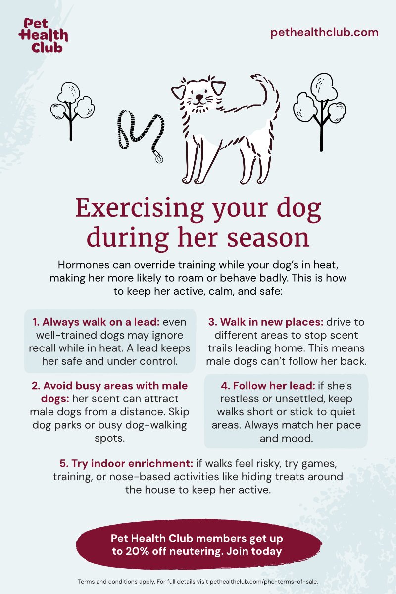 Keeping your dog calm between walks