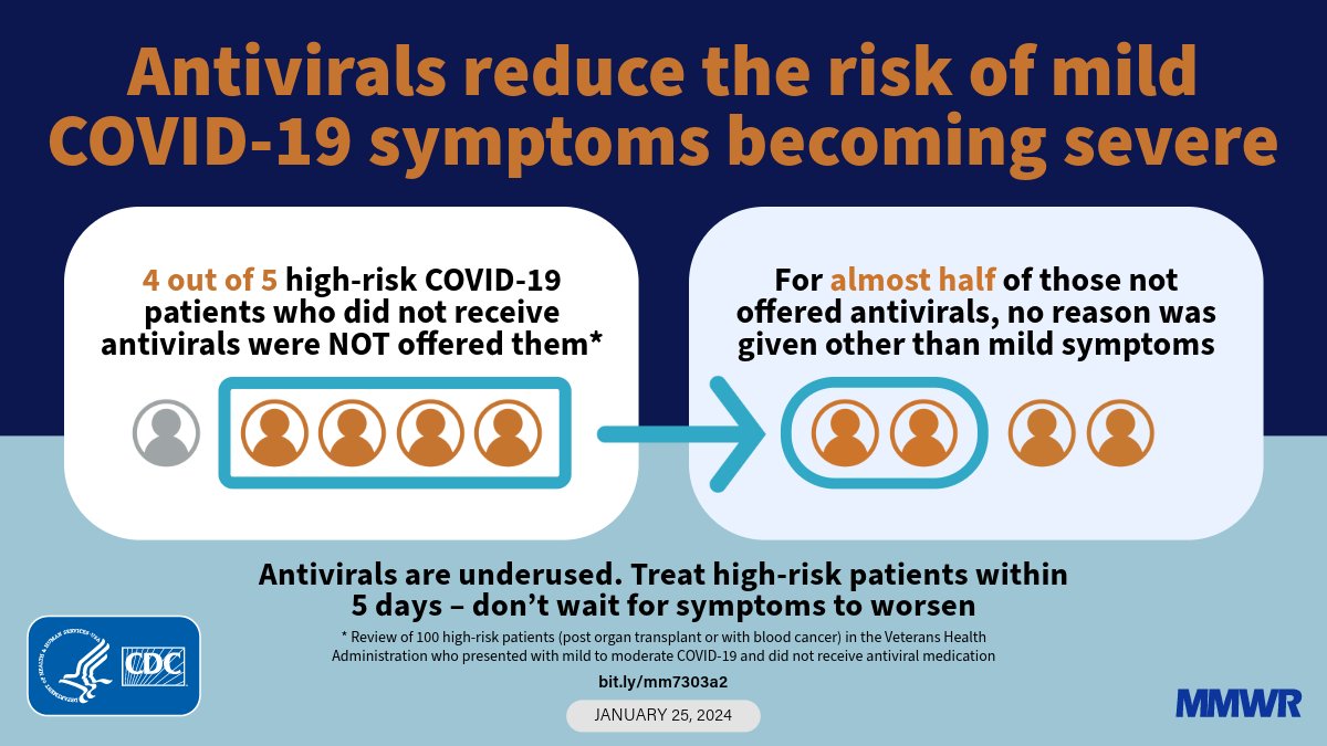 Risks, Side Effects, and How Vets Reduce Them