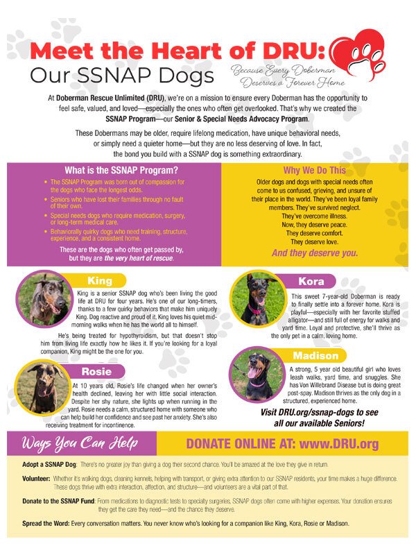 Long‑term outlook if you love dogs