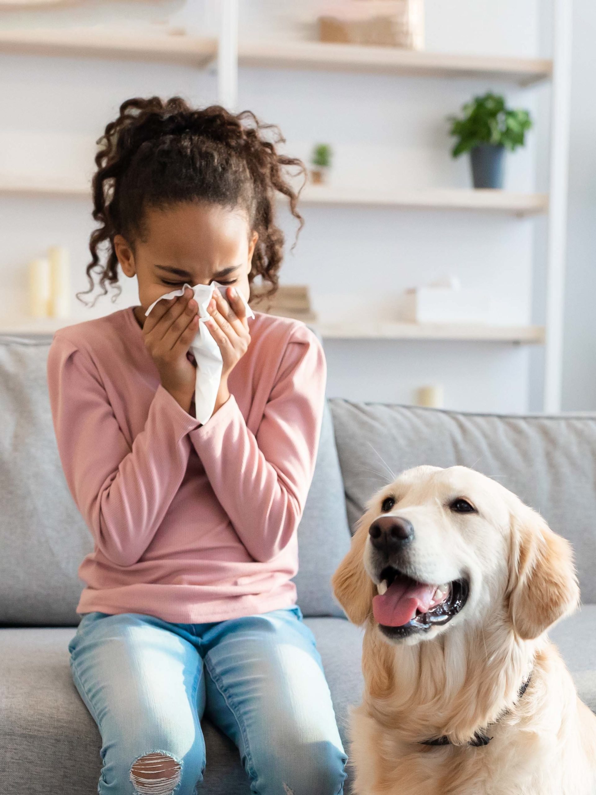 Dog Allergies in Children and Teens