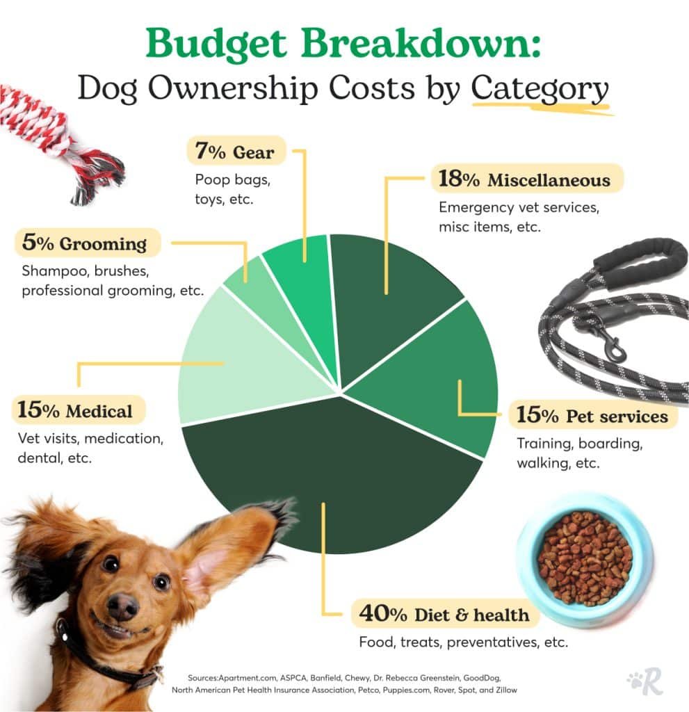Budgeting and Planning for Dog Spay Costs