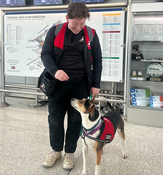 Alternatives and choosing not to neuter