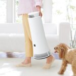 Lifestyle Air Purifier for Dog Allergies: 7 Key Buying Tips