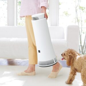 Lifestyle Air Purifier for Dog Allergies: 7 Key Buying Tips