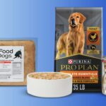 9 Best Dog Foods for Senior Dogs: Vet-Backed 2026 Guide