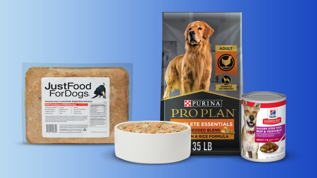 9 Best Dog Foods for Senior Dogs: Vet-Backed 2026 Guide