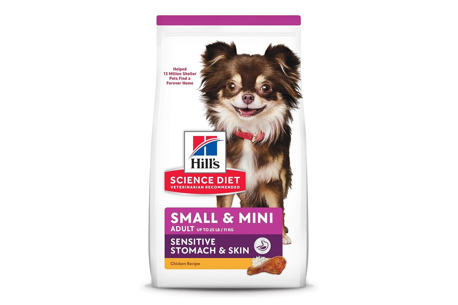 Types of Food for Small Dogs