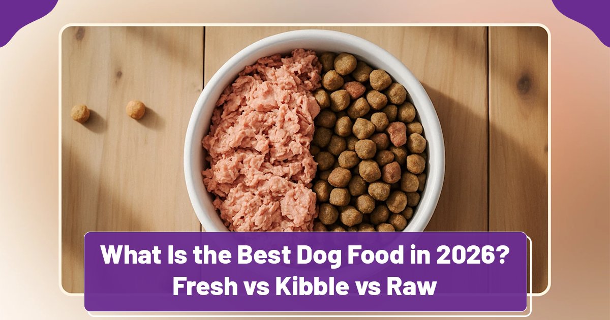Dry, Wet, Fresh or Raw: What Works Best?