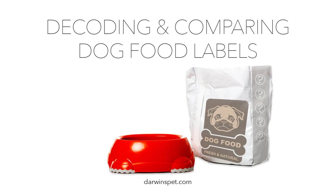 Decoding the Product Name