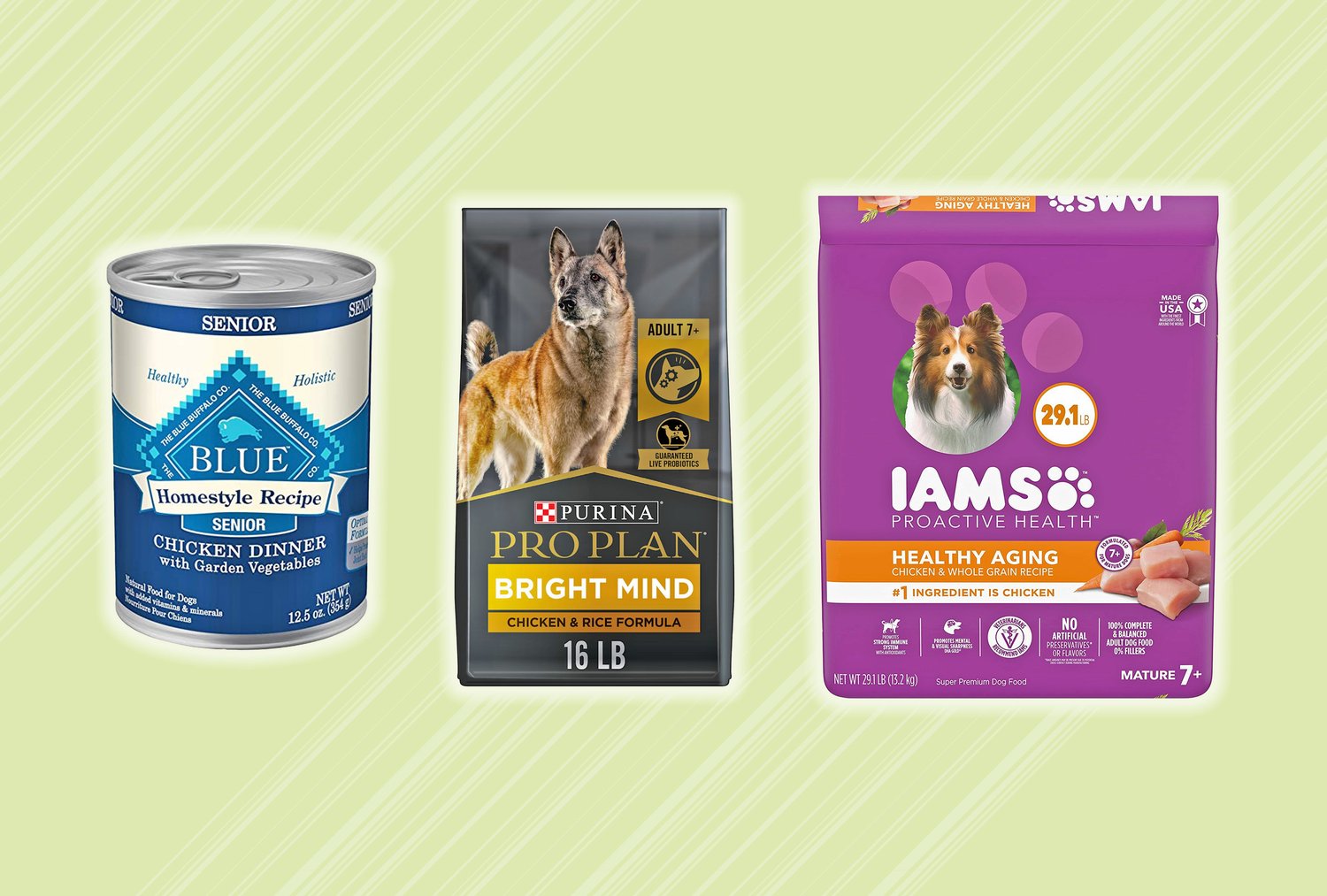 Best Food for Senior Small Dogs