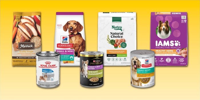 Best Wet Dog Food for Weight Loss
