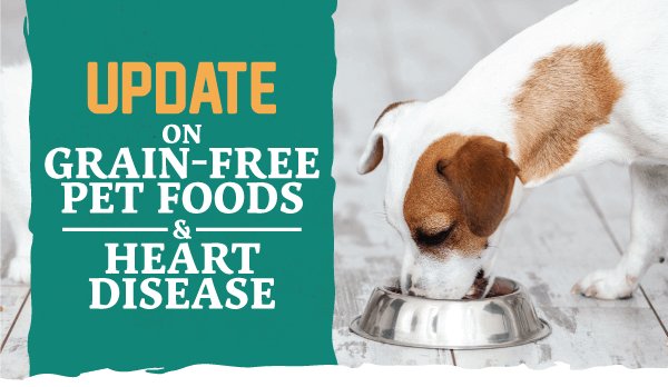 Grain-free diets and heart disease