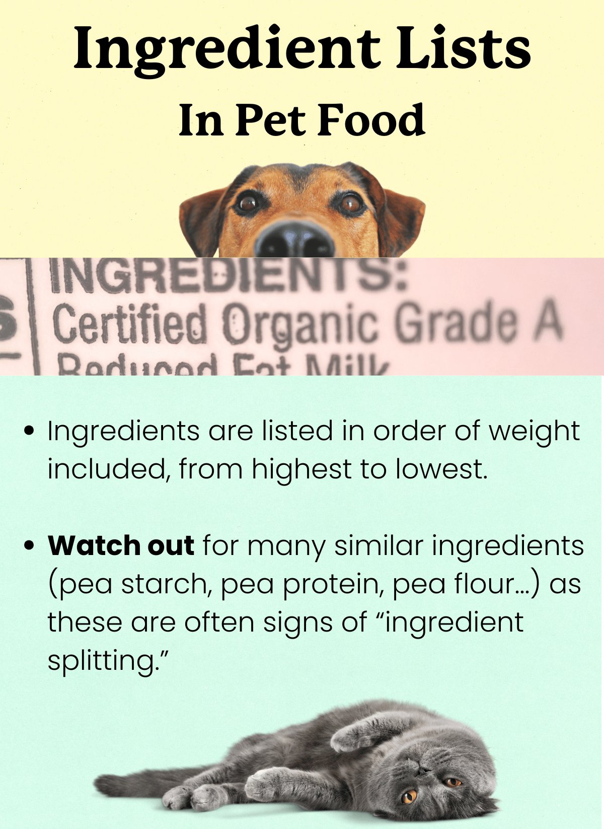 Reading the Ingredients List