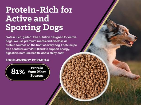 Best High‑Protein Formula for Active Dogs