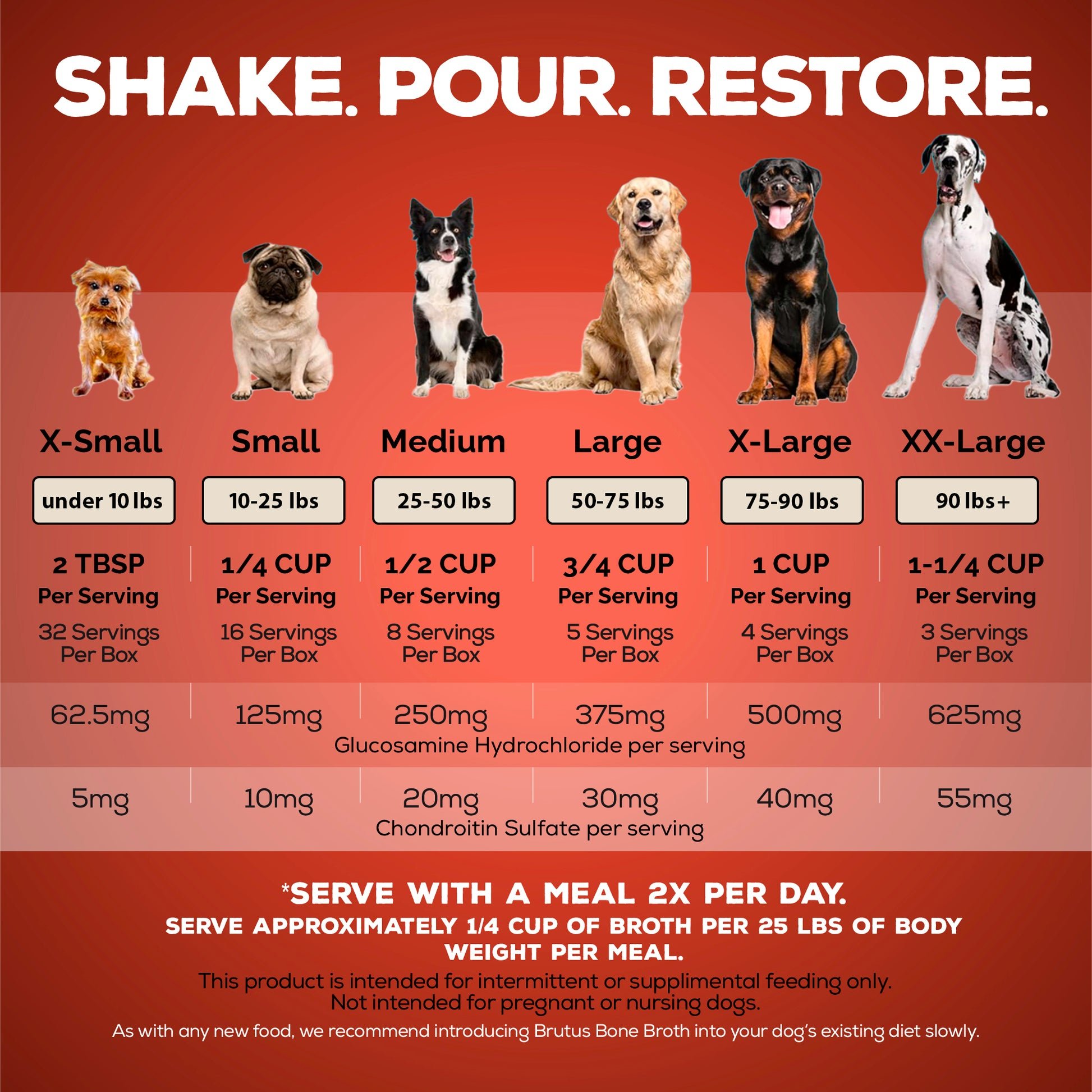 How Much to Feed a Small Dog