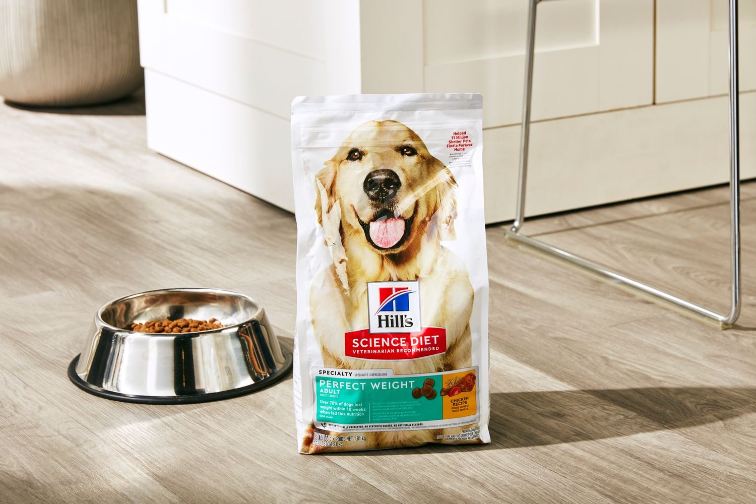Best Weight‑Control Food for Small Dogs