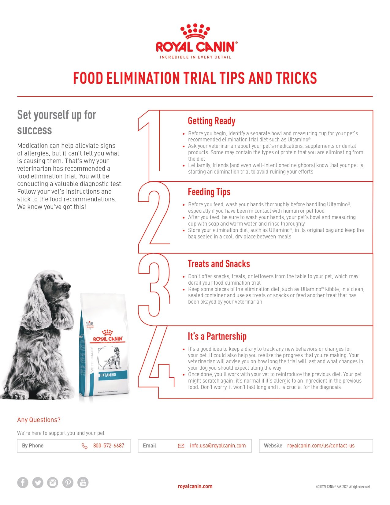 Feeding Tips During an Elimination Trial