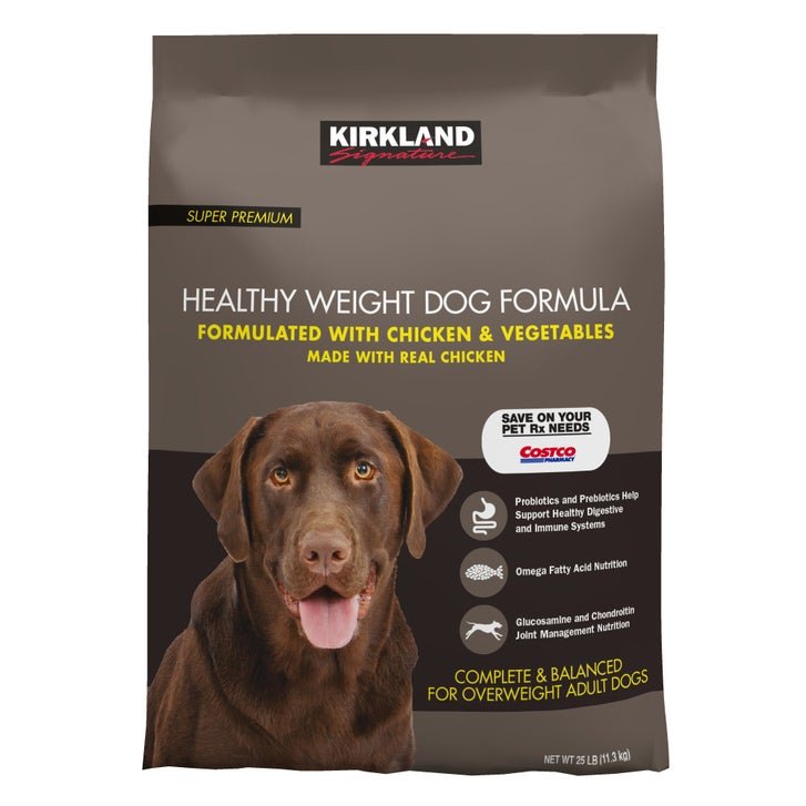 Exercise and Lifestyle Tips for Chubby Dogs