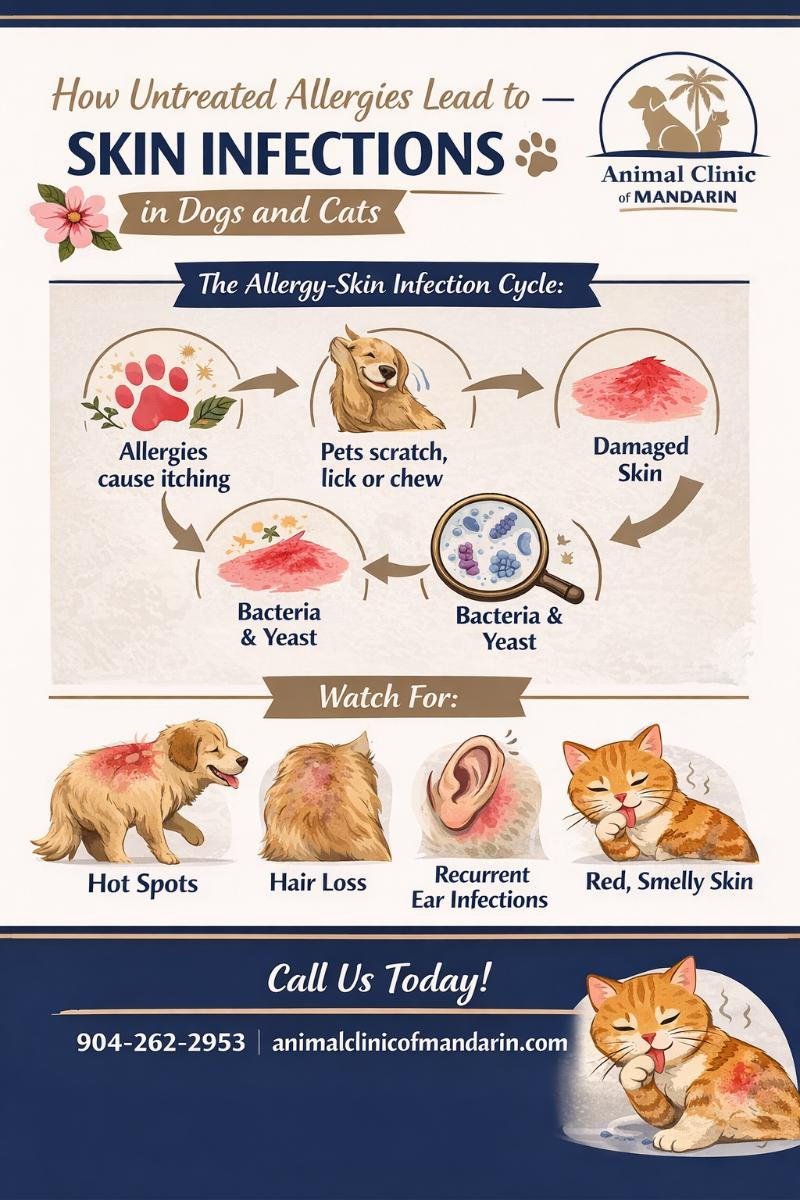 Common Signs of Yeast Ear Problems
