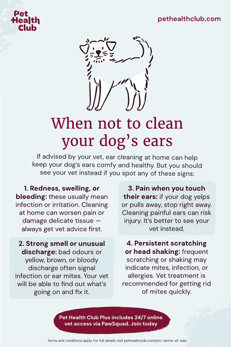 Veterinary Treatments for Ear Discharge