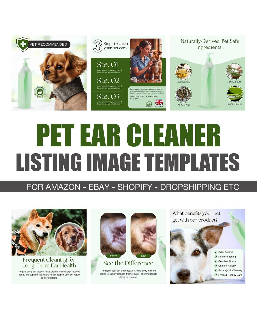 Long‑Term Ear Health for Your Dog