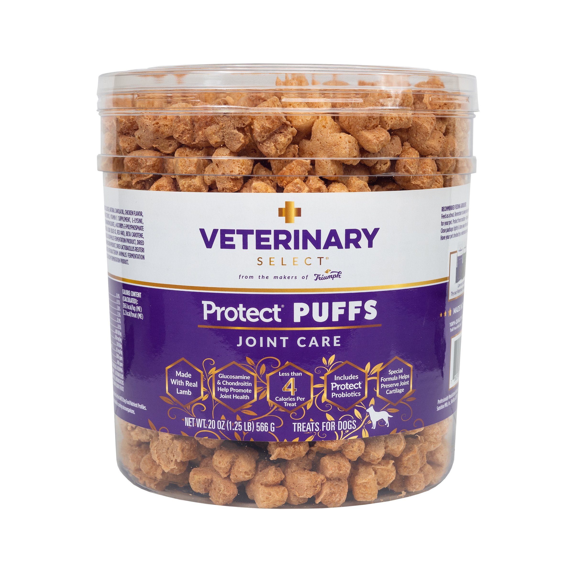 Helping Your Dog Through Treatment