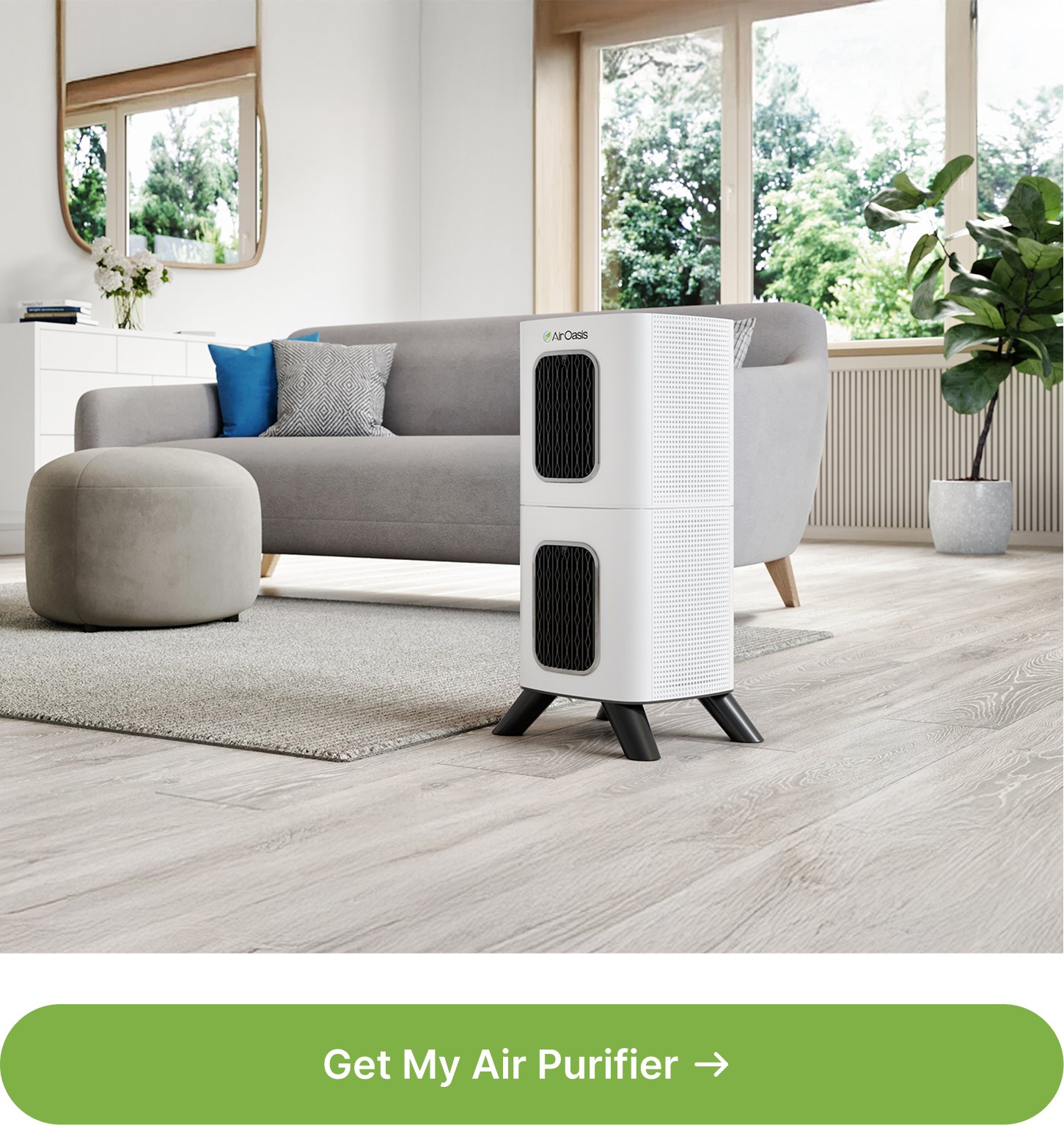 Best Spots to Put an Air Purifier With Dogs