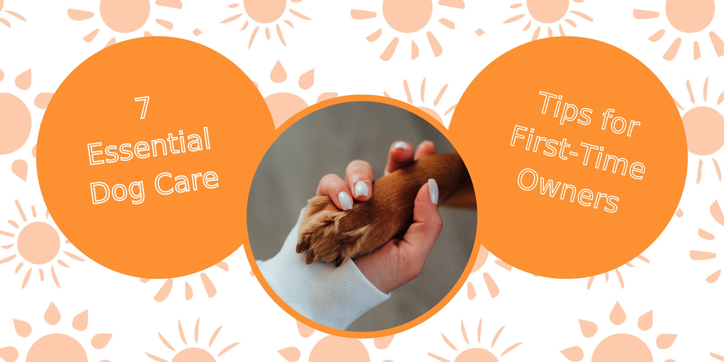 Tip 4: Groom Your Dog With Allergies in Mind