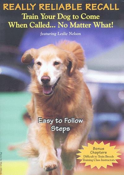 Can Any Dog Learn a Reliable Recall?