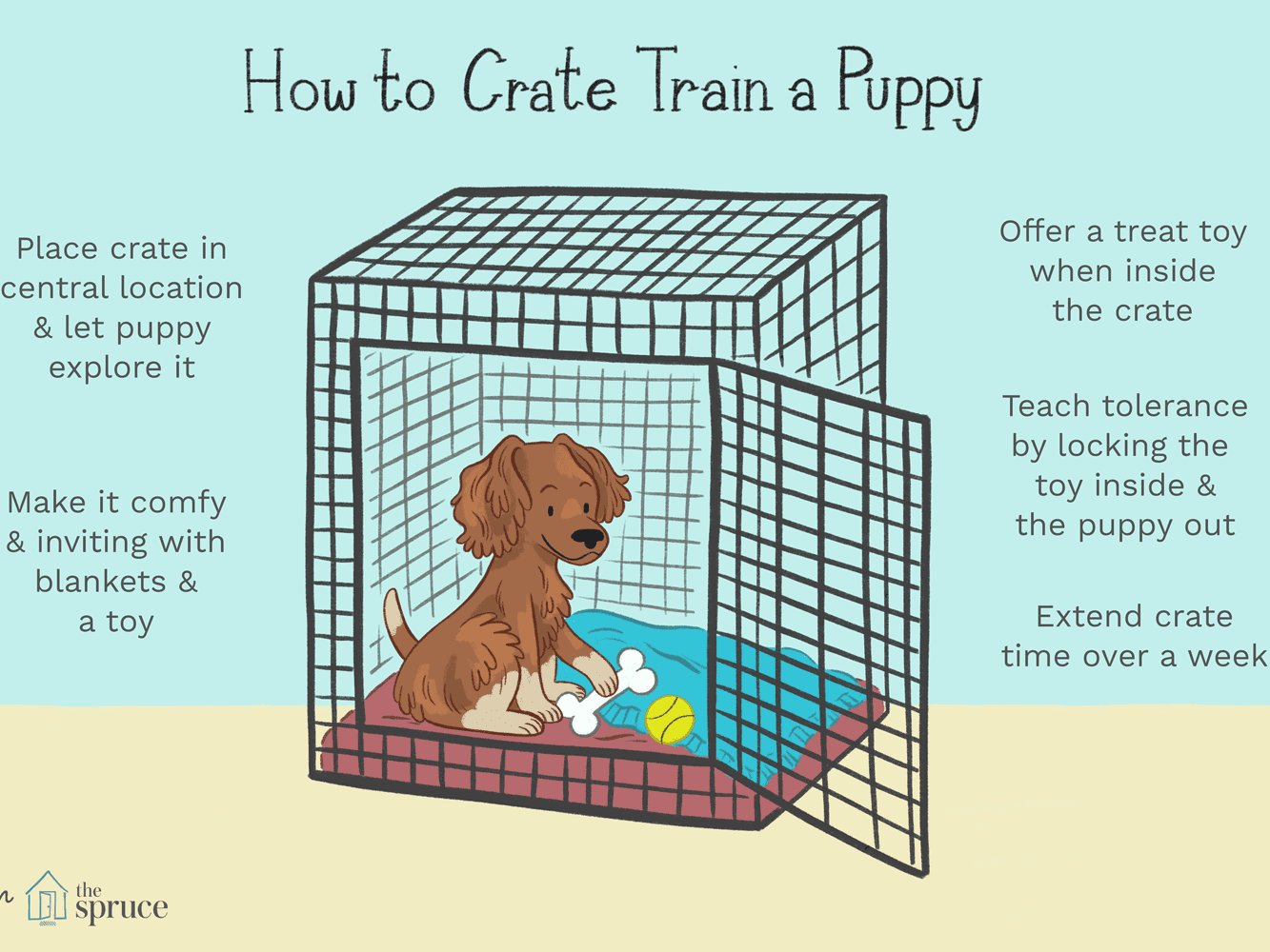 Why Use a Crate for Your Dog