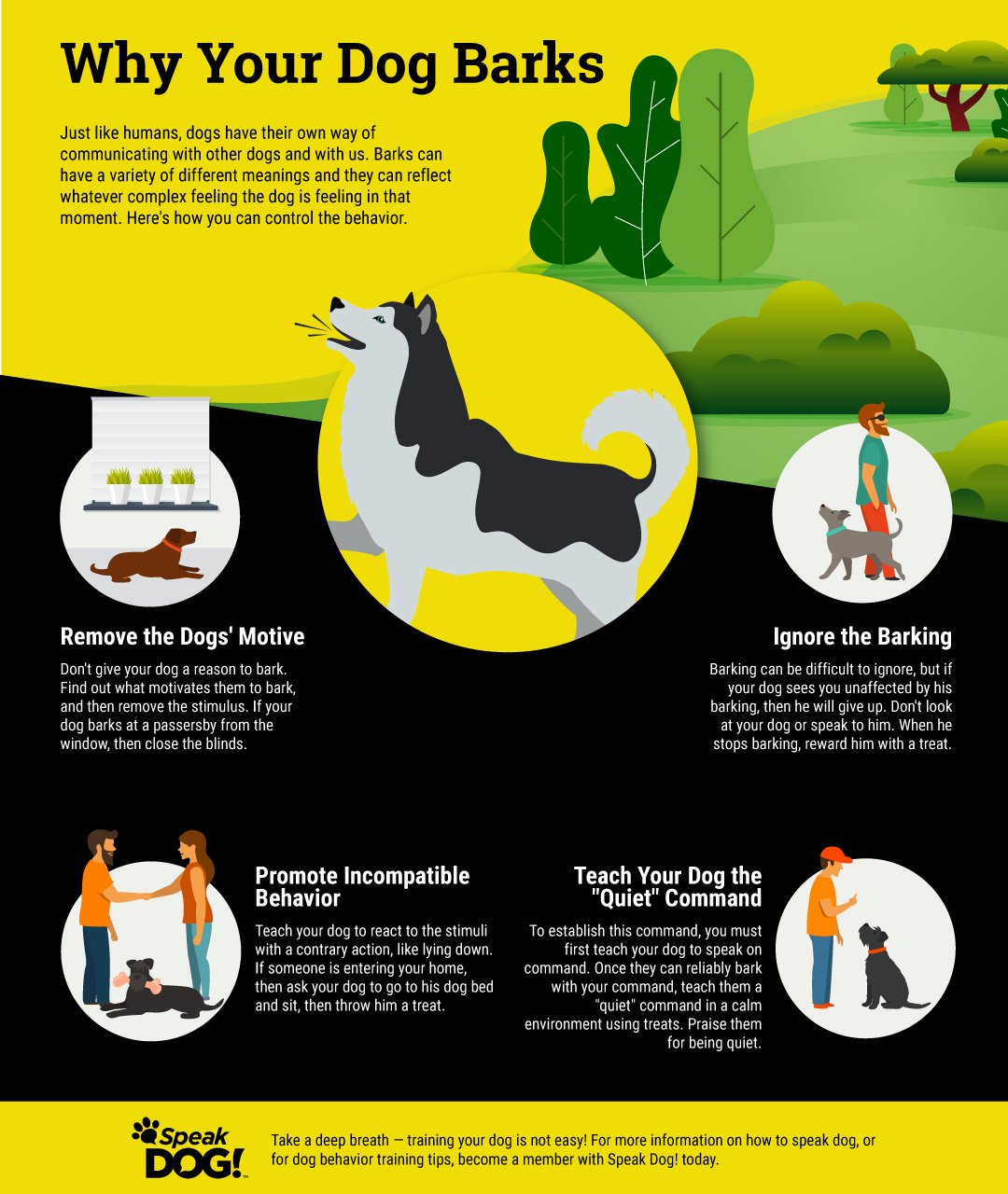 Why Dogs Bark and What It Means