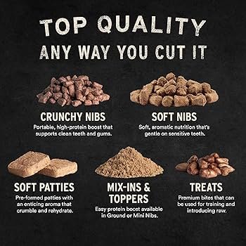 7 Essential Steps to Teach Gentle Biting