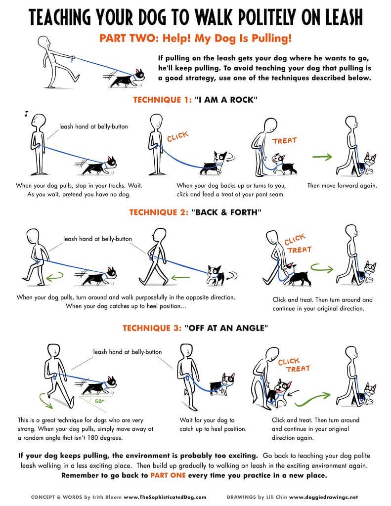 What Not to Do With a Pulling Dog