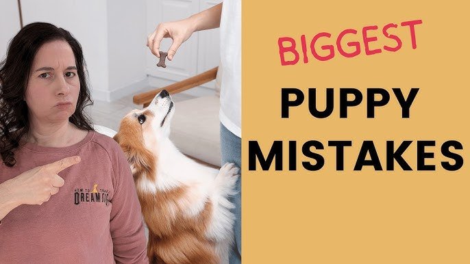 Training Puppy Biting: Mistakes to Avoid