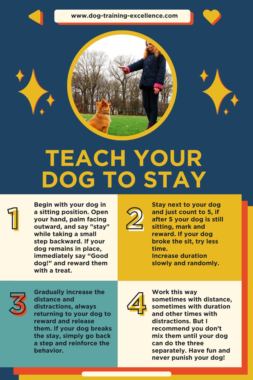 Next steps after your dog masters sit
