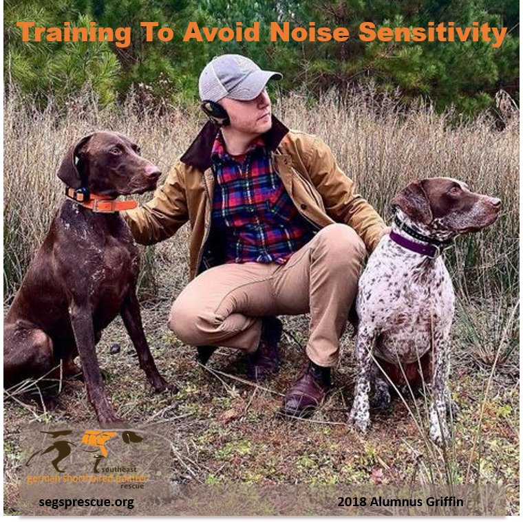 What Not to Do With a Noisy Dog