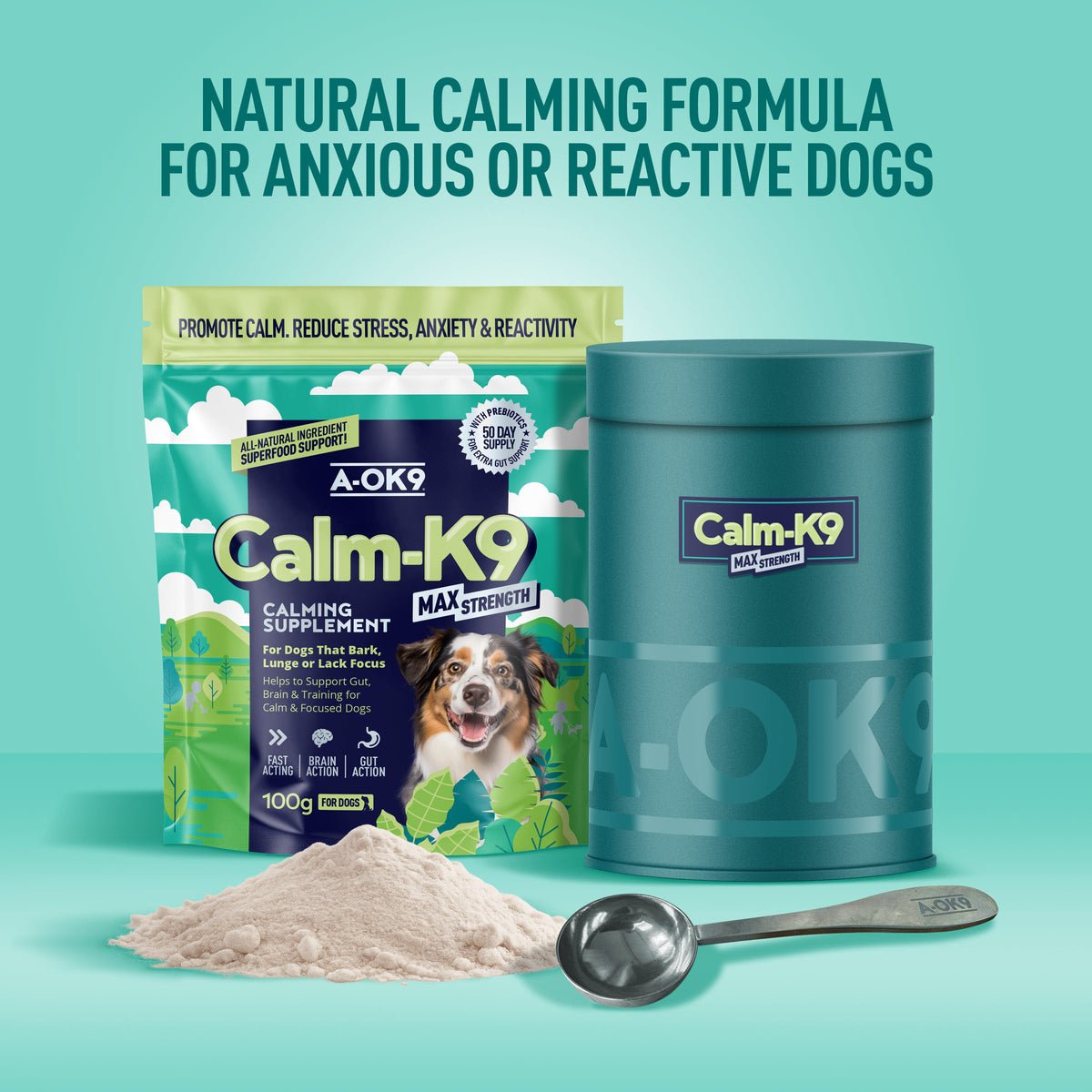 Handling Strong or Reactive Dogs