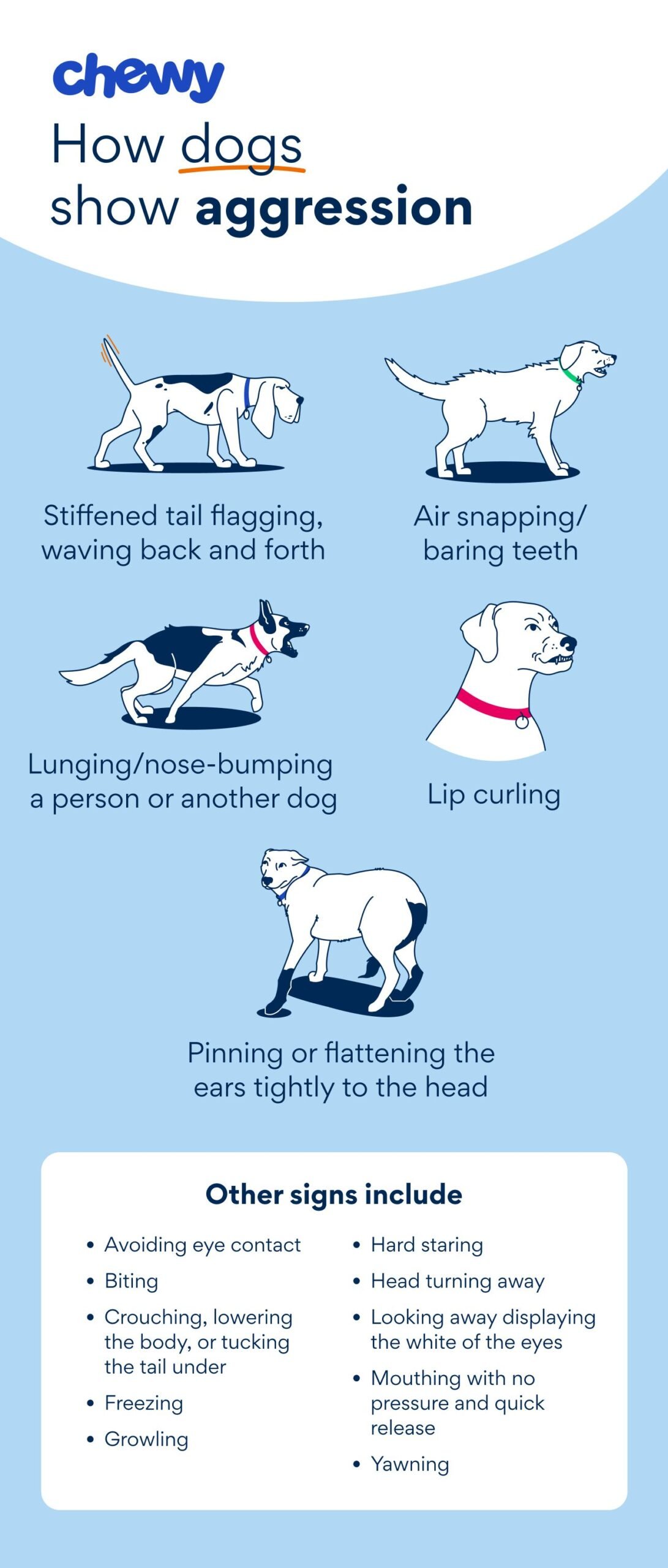 Signs Biting May Be Aggression
