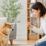 Training: How to Train a Stubborn Dog in 7 Easy Steps