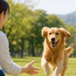 Dog Recall Training: 7 Easy Steps to a Rock-Solid Come